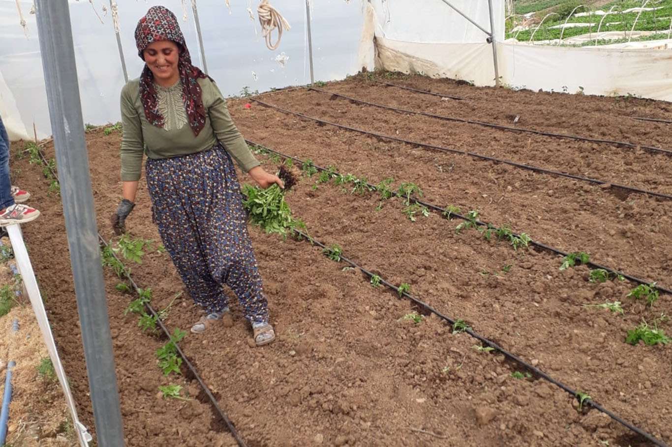Tarımsal desteklerle şehirden köye dönüş başladı Tarımsal desteklerle şehirden köye dönüş başladı